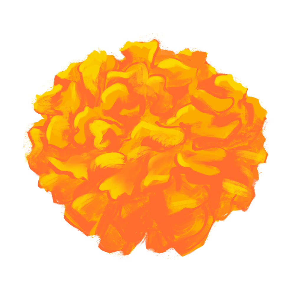 marigold